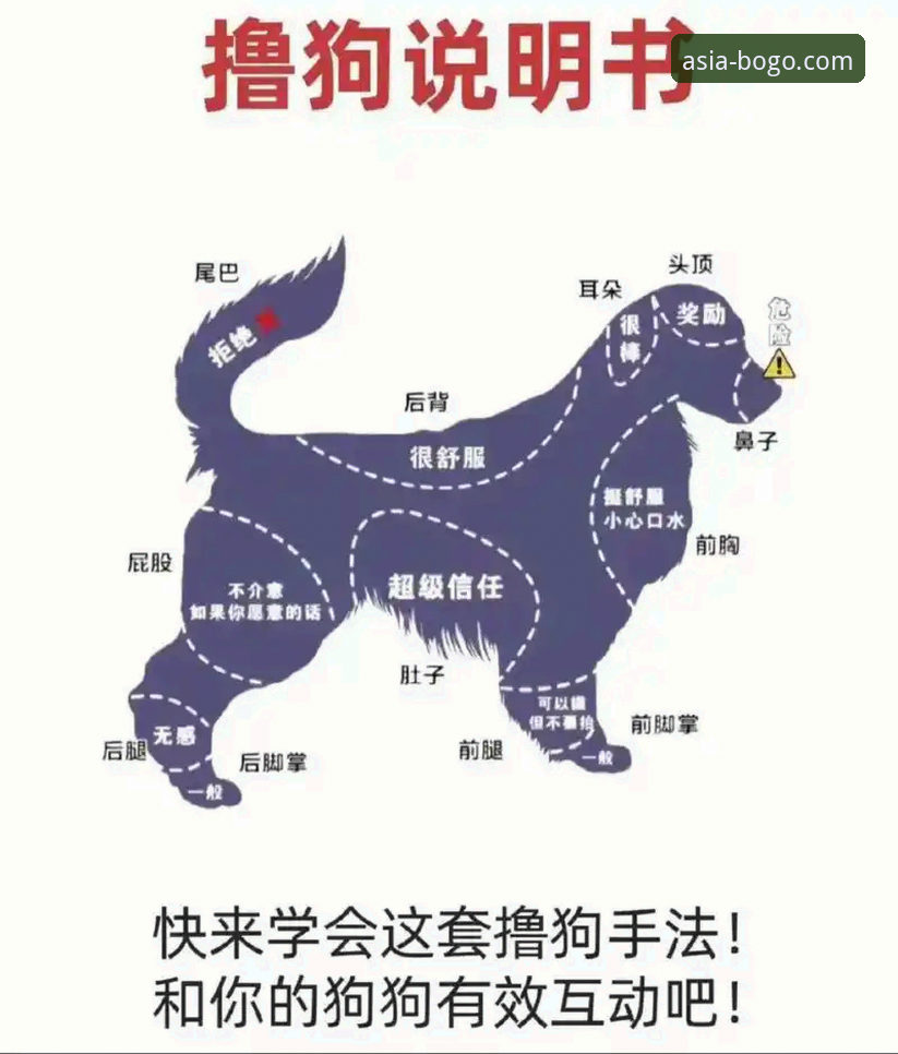 揭秘博狗体育平台：一份资深用户亲测的完整博狗注册教程